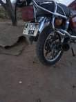 A picture of Fekoni