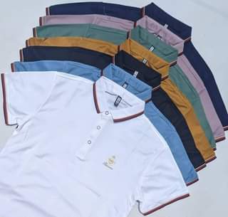 A picture of T shirt