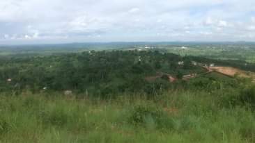 A picture of Land