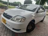 A picture of COROLLA