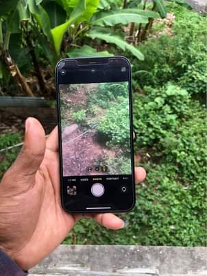 iPhone M.