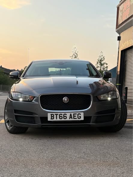 jaguar