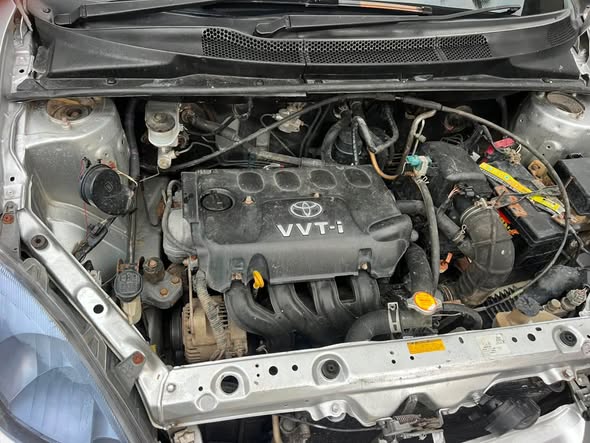A picture of VITZ