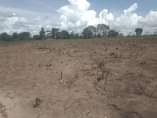 A picture of VINAUZWA LAKI 500 000 TU