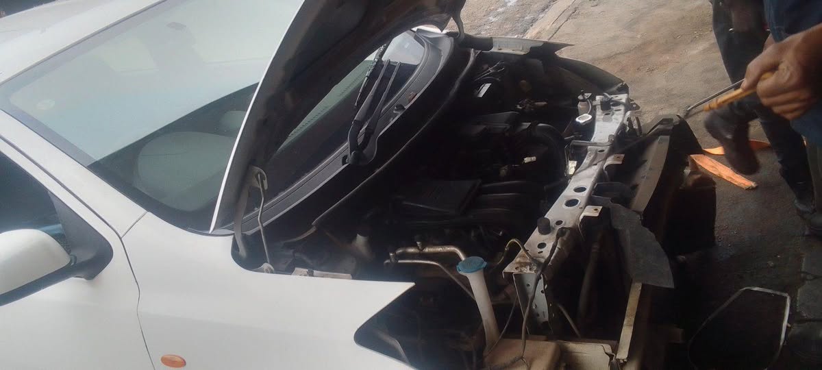 Amazlng H.