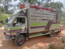 A picture of Canter badooo ipoo