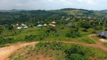A picture of Nkowe Estate Plots available with titles. We offer free inspection.