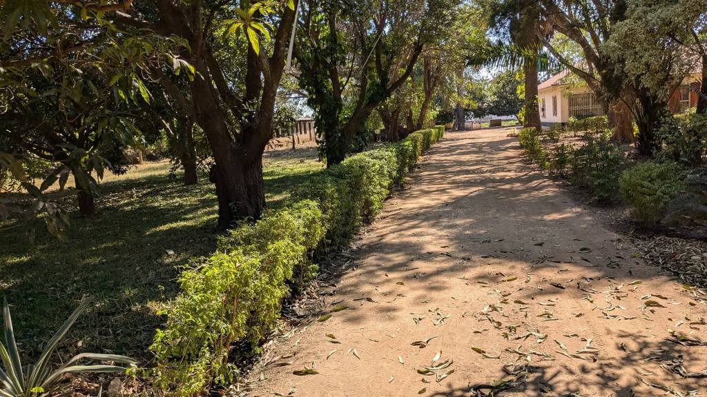 zambia plots