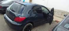 A picture of Peugote 206
