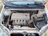 A picture of Toyota Corolla spots 04