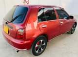 A picture of starlet