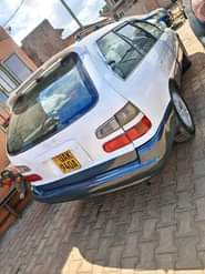 A picture of 0705627113 6 9m Perfect every where