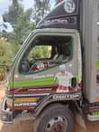 A picture of Canter badooo ipoo