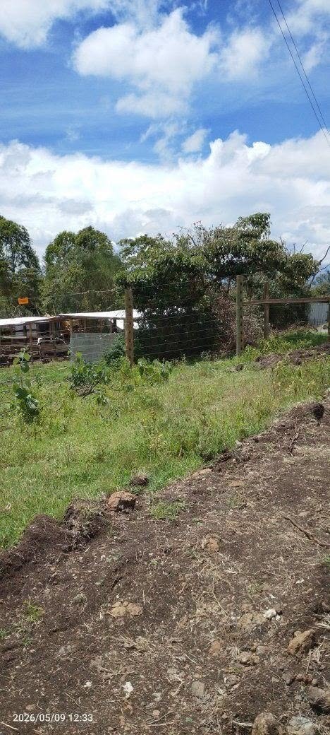 kenya plots
