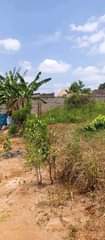 A picture of Kiwanja kinauzwa