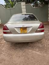 A picture of Mark Grande 7.7m call 0706260442