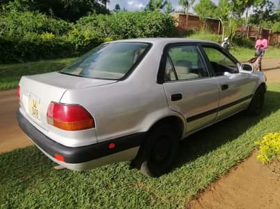 Malawi C.