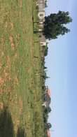 A picture of Good good Plots for sale near Kampala with land titles