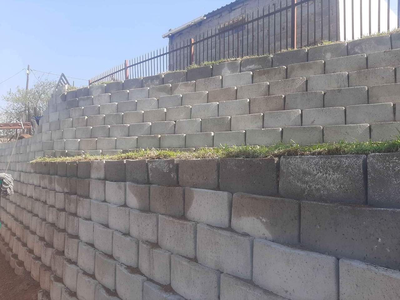 pongola K.