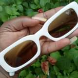 A picture of Shades