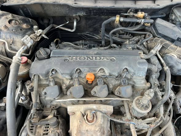 A picture of 07031135291 HONDA 2009
