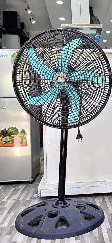 fans