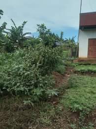A picture of ANTI MR PROPERTY MANAGEMENT I HAVE 2 PLOTS FOR SALE