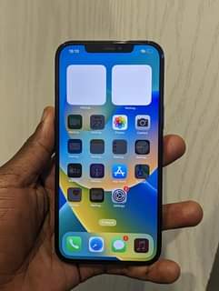 A picture of IPHONE 12 PRO MAX