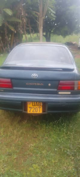 A picture of Corsa