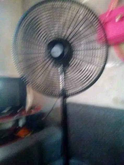 A picture of Feni