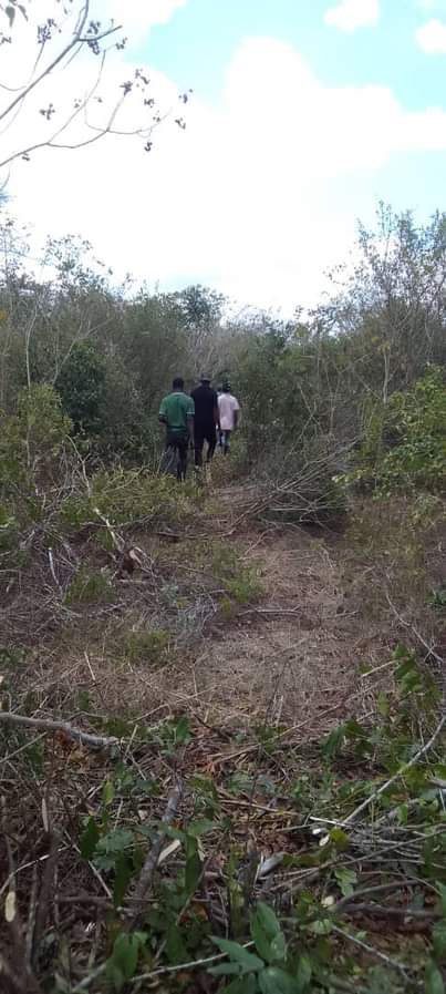 A picture of SHAMBA HEKA 60 KILA HEKA MOJA TSH 220 000 LIPO