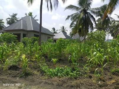 A picture of KIWANJA KINAUZWA KIBAMBA KILUVYA KWA KOMBA 25 KWA 20 SQM