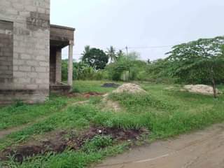 A picture of PAGALE JIPYA LINAUZWA BAOBAB KIMERE MAPINGA