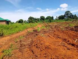 A picture of  8m Hot deal quick sale 8m Plot size 80by40ft