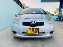 A picture of Vitz