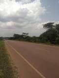 A picture of 200acres