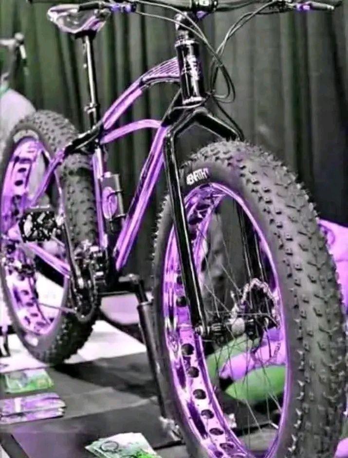 A picture of Electric bike for lipa mdogo