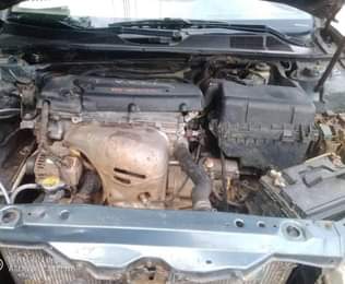 A picture of Big daddy 04