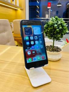 A picture of iPhone 7 Plus
