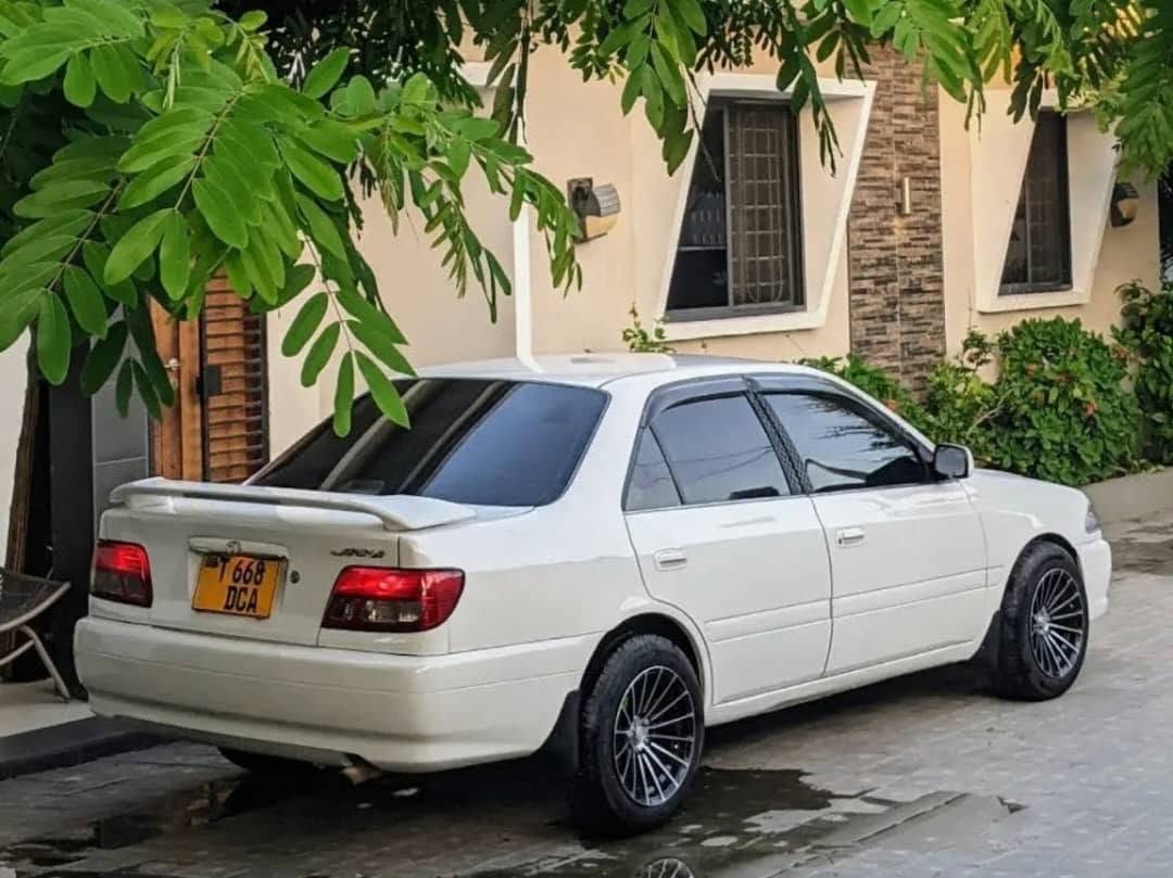 A picture of Carina Ti 0654503974