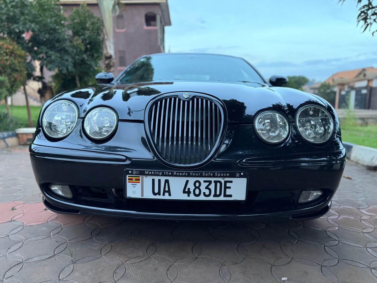 jaguar