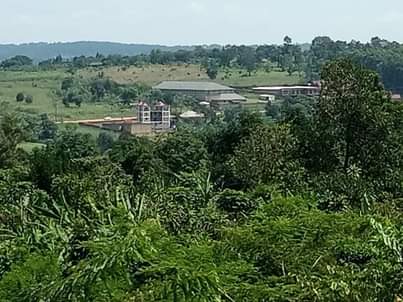 houses matugga