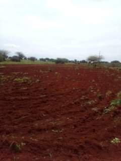 A picture of SHAMBA HEKA 7 LINAUZWA DODOMA