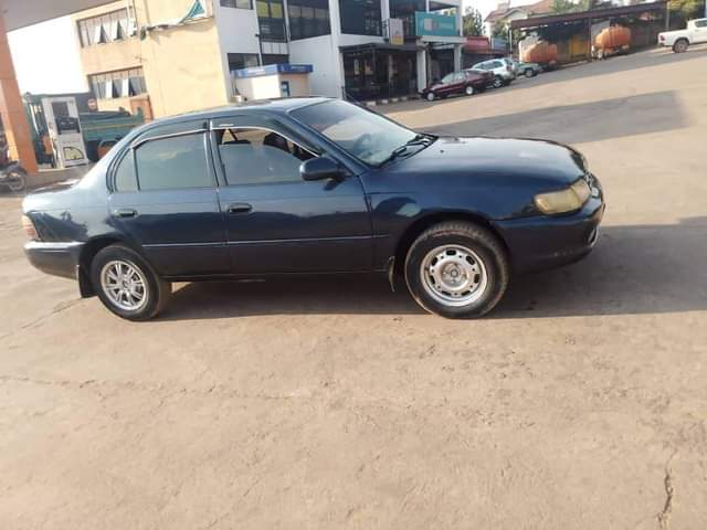 used toyota corolla