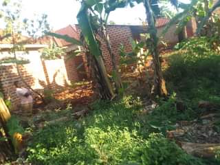 A picture of 50by100ft on sale In kisoga town along mukono katosi road