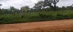 A picture of land for sell at Apo dictress 3thousnd meter