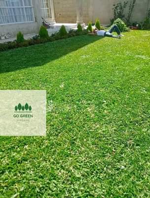 landscaping
