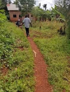 A picture of Plot for sale in kisoga mukono along katosi road it