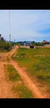A picture of PLOT