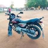A picture of Boxer x new model Kali sana bei 8 80